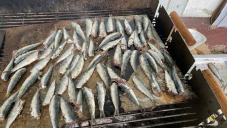 IMG_5796-Sardines-en-debut-de-cuisson-80